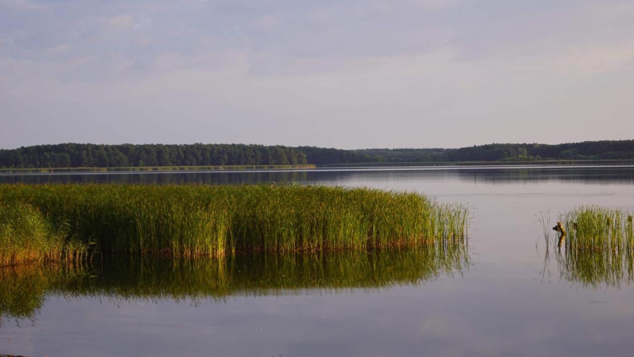 Yacht Club Apartamenty Radzyń Eksteriør billede